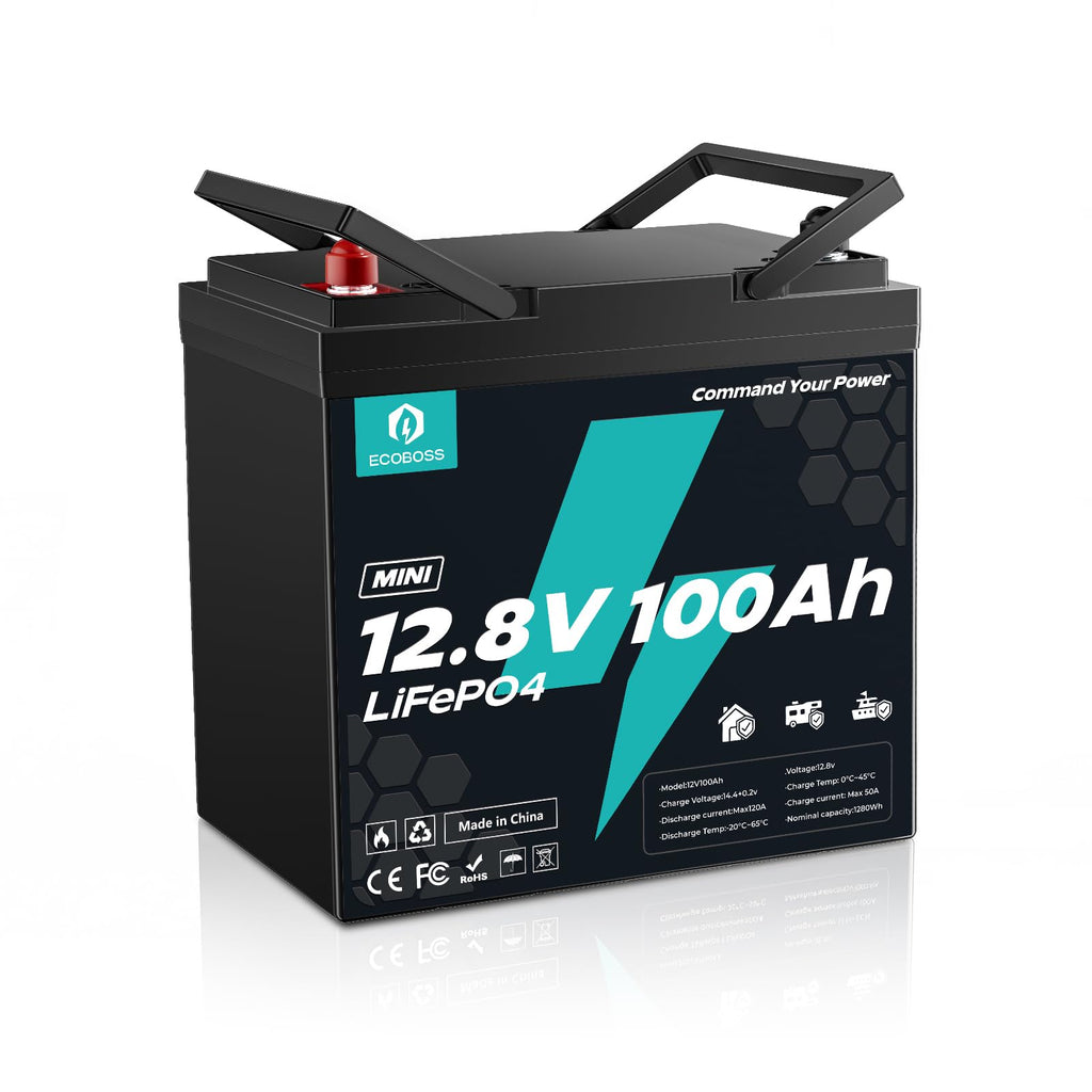12V 100Ah Mini Lithium Battery P17666