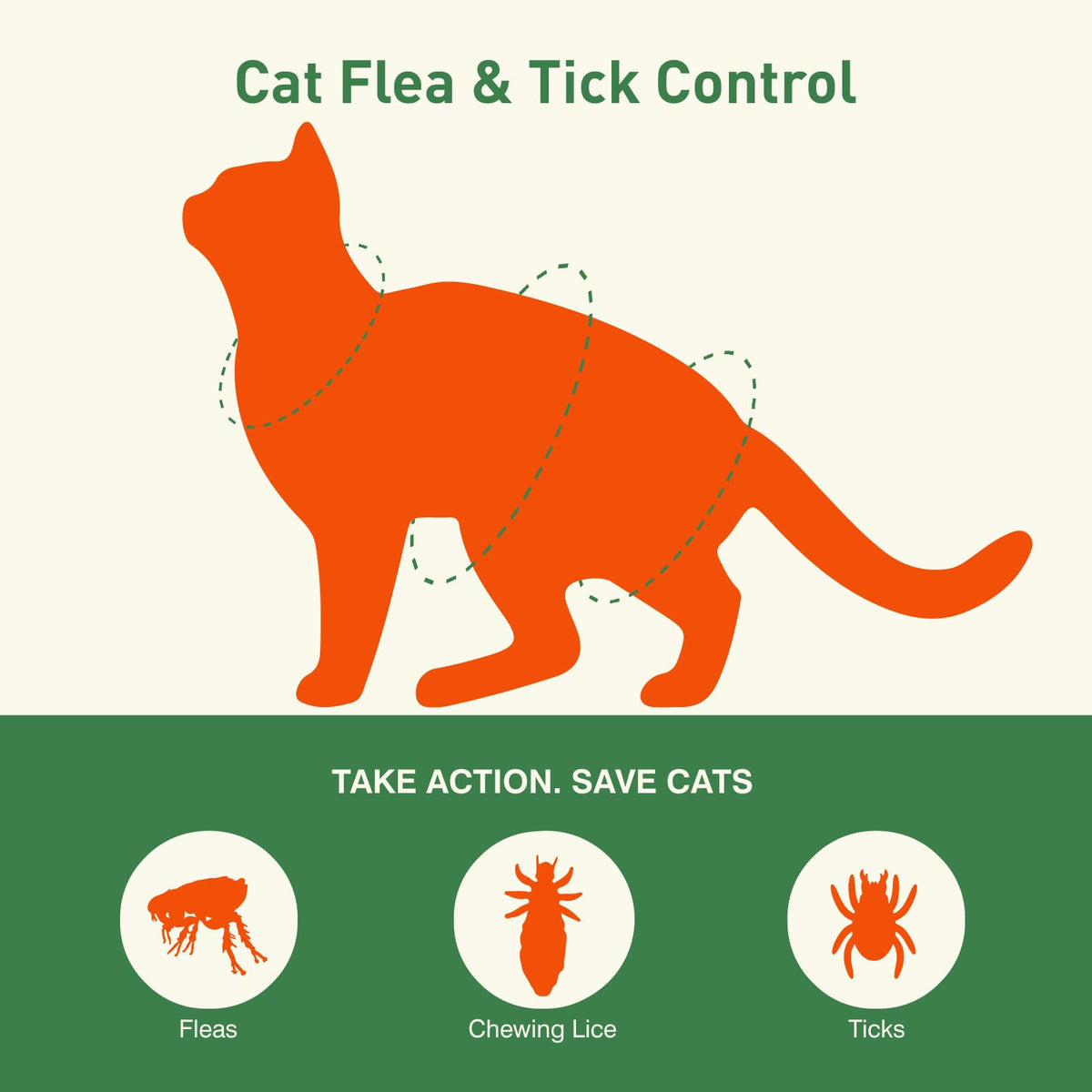6 Pack Flea and Tick Prevention for Cats P78748