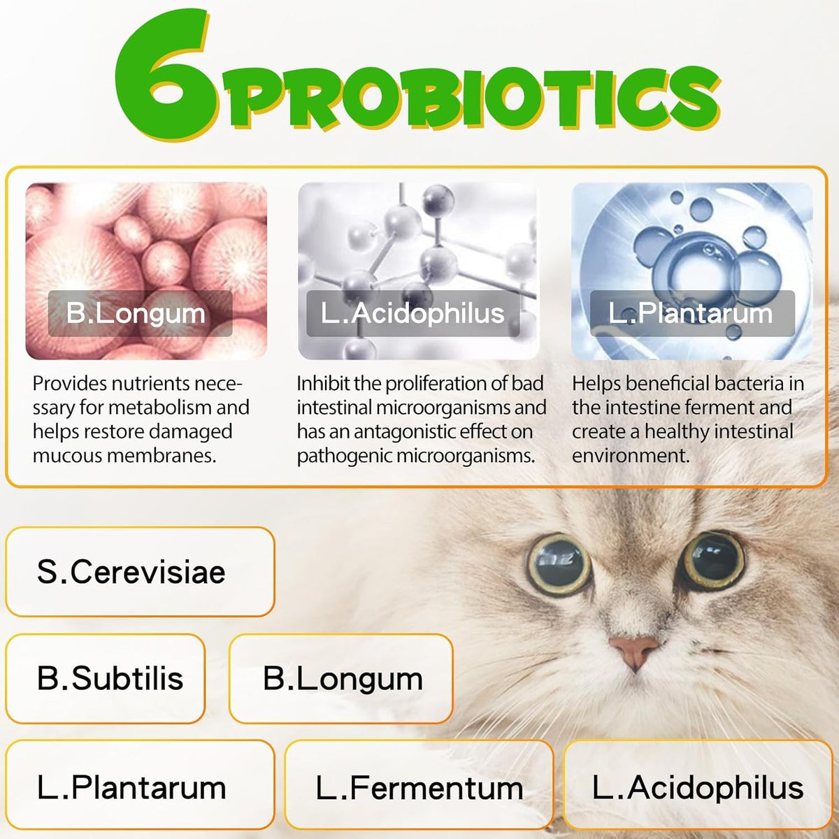 2 oz Probiotic Cat Laxative Stool Softener B6172