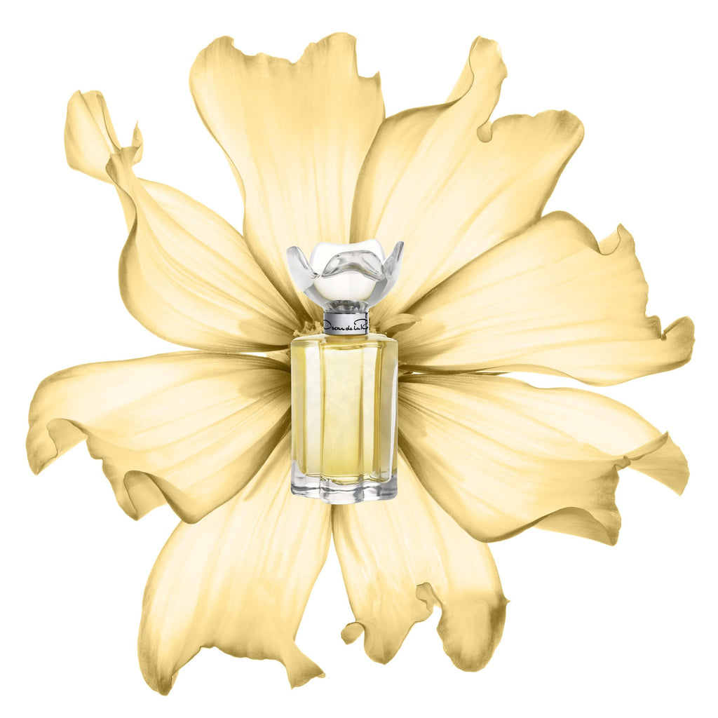 Eau de Parfum Perfume Spray 3.4 Fl. Oz. Z578675