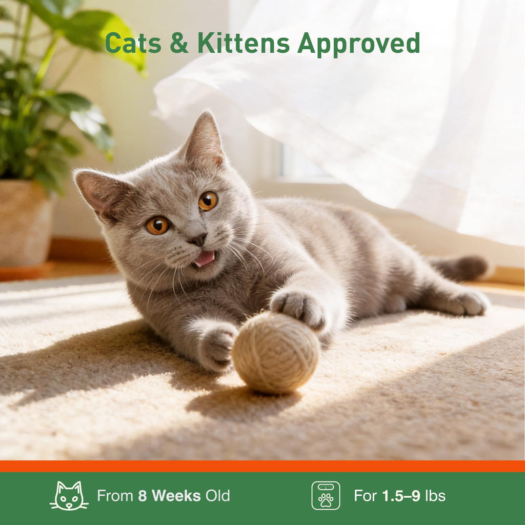 6 Pack Flea and Tick Prevention for Cats P78748