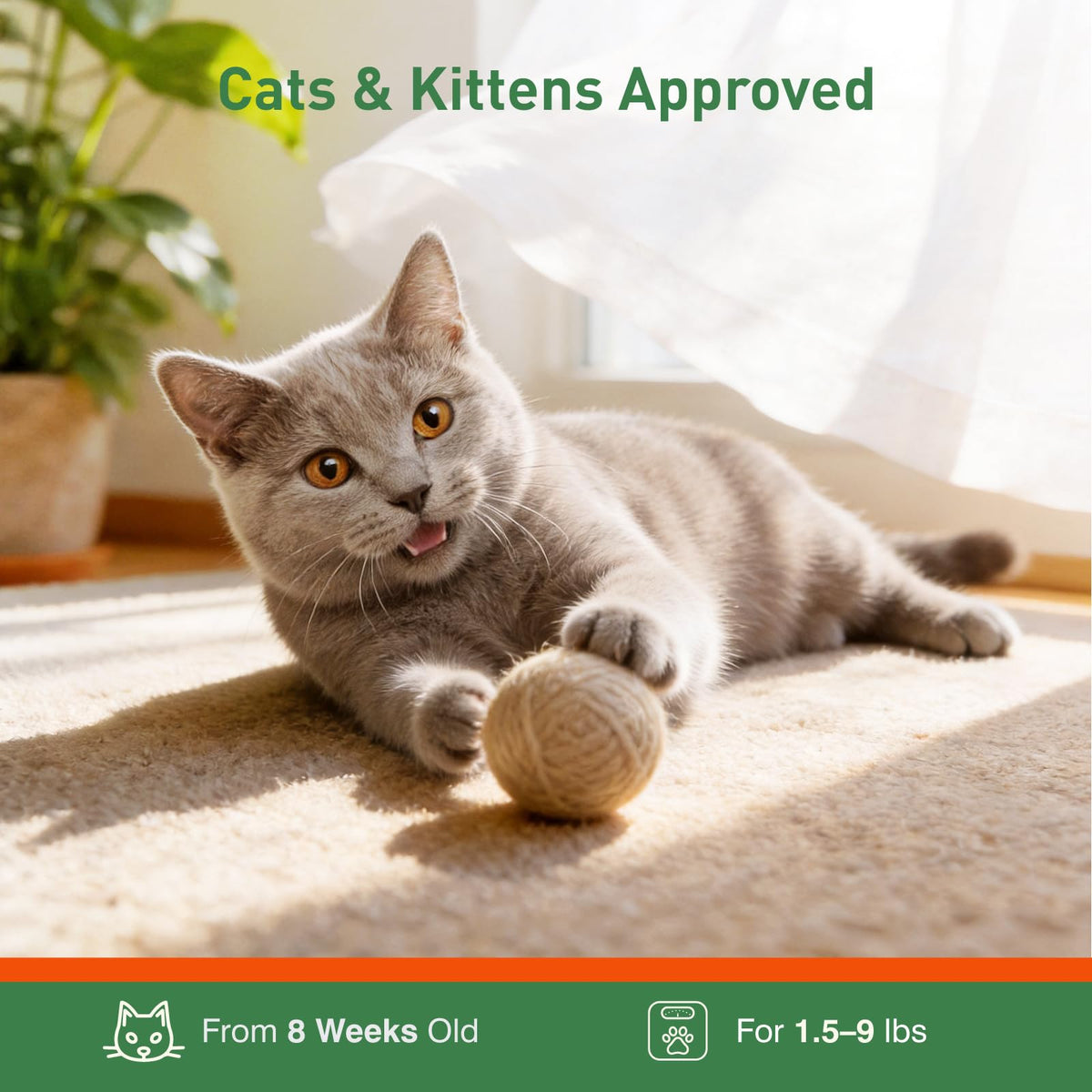 6 Pack Flea and Tick Prevention for Cats P78748