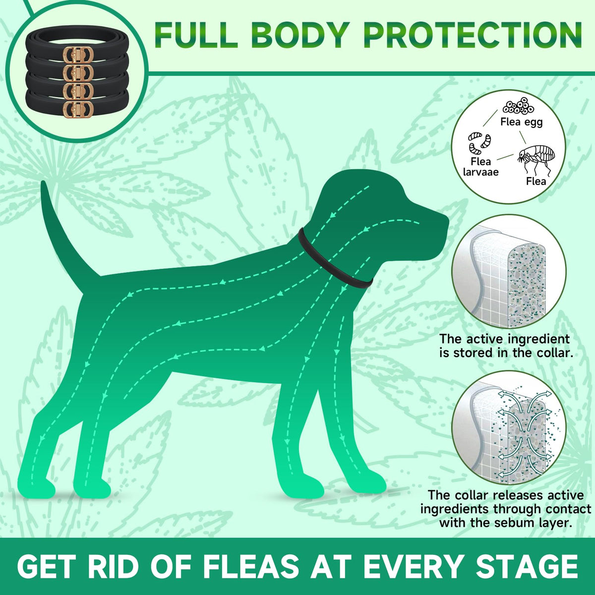 4 Pack Flea Collar for Dogs D360367