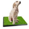 Indoor Dog Toilet Puppy Training Pad G807533