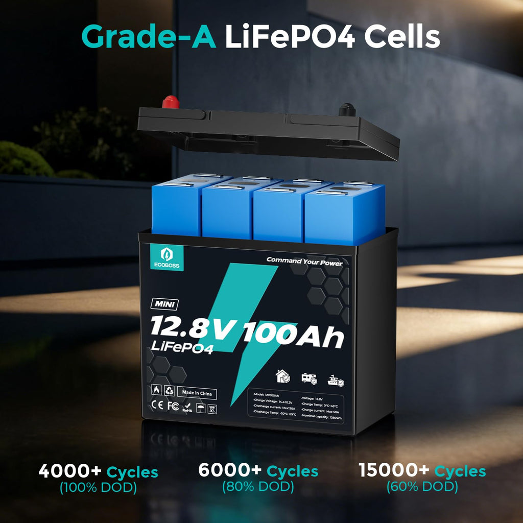 12V 100Ah Mini Lithium Battery P17666