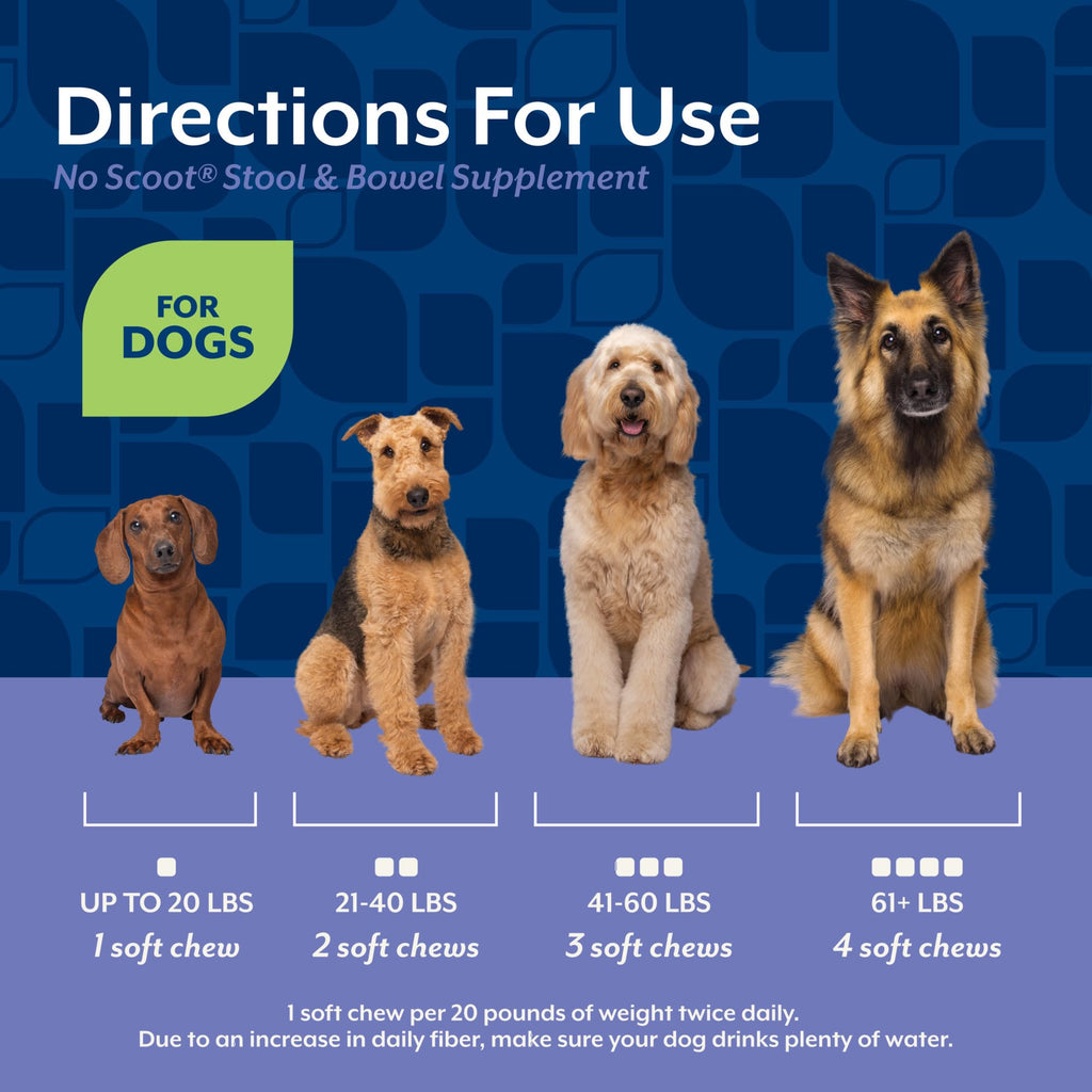 Dog Stool and Bowel Supplement 60 Soft Chews O25875