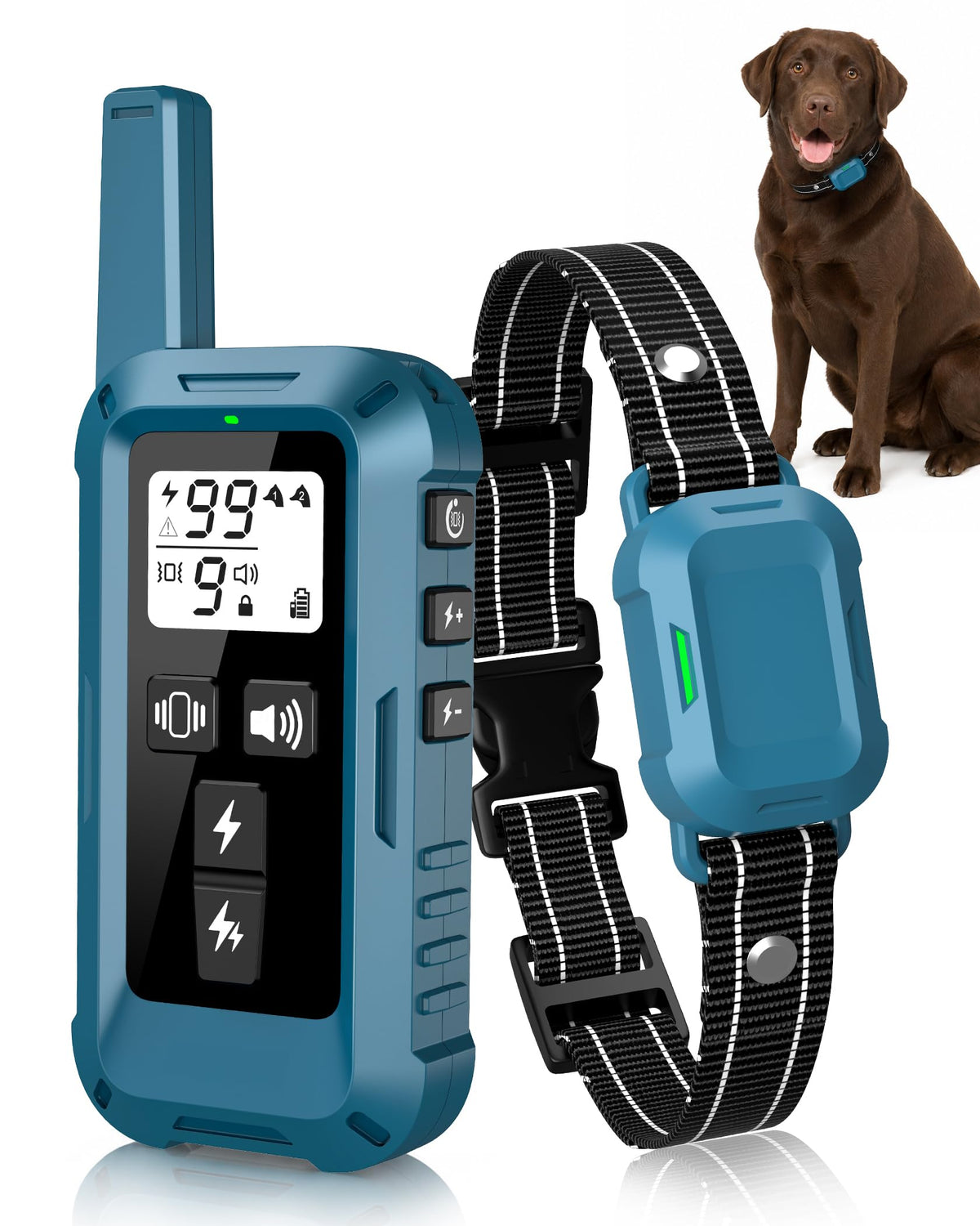 Dog Training Collar with Remote L526170