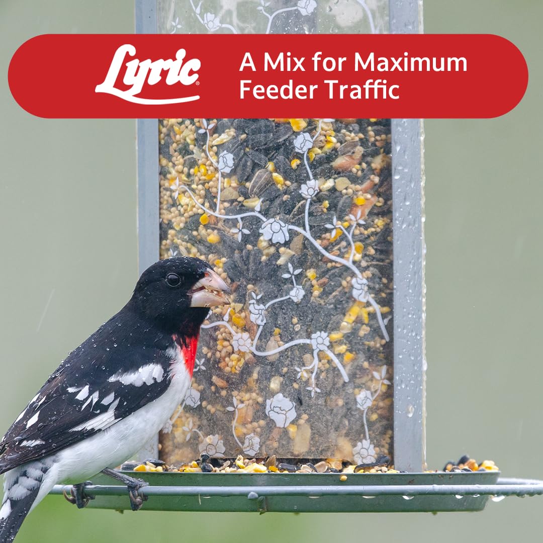 Wild Bird Seed 20 lb. Bag W19890