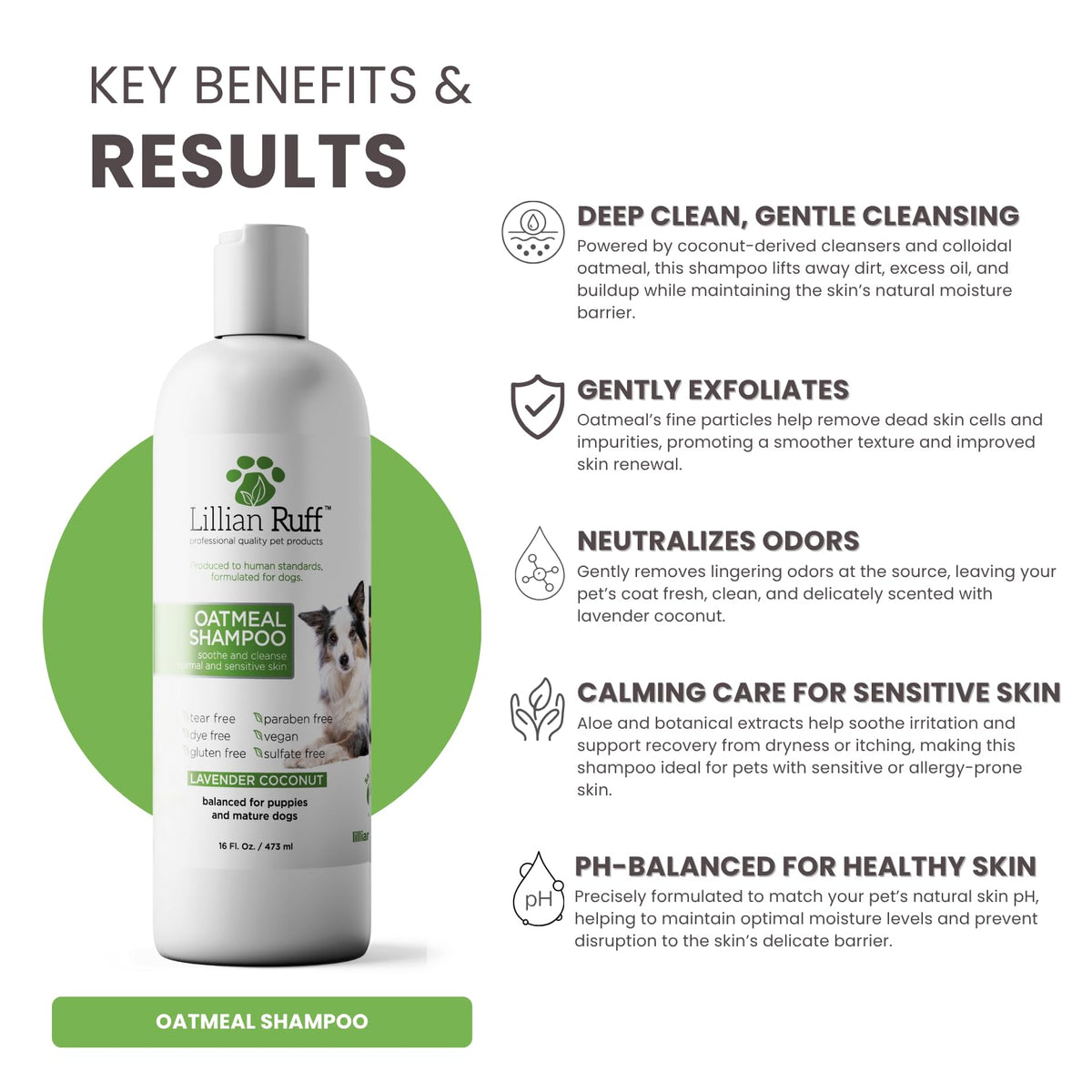Oatmeal Dog Shampoo 16oz S376