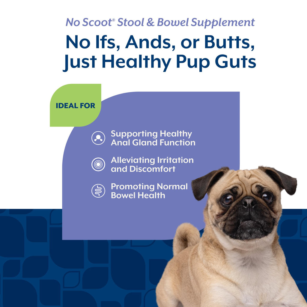 Dog Stool and Bowel Supplement 60 Soft Chews O25875