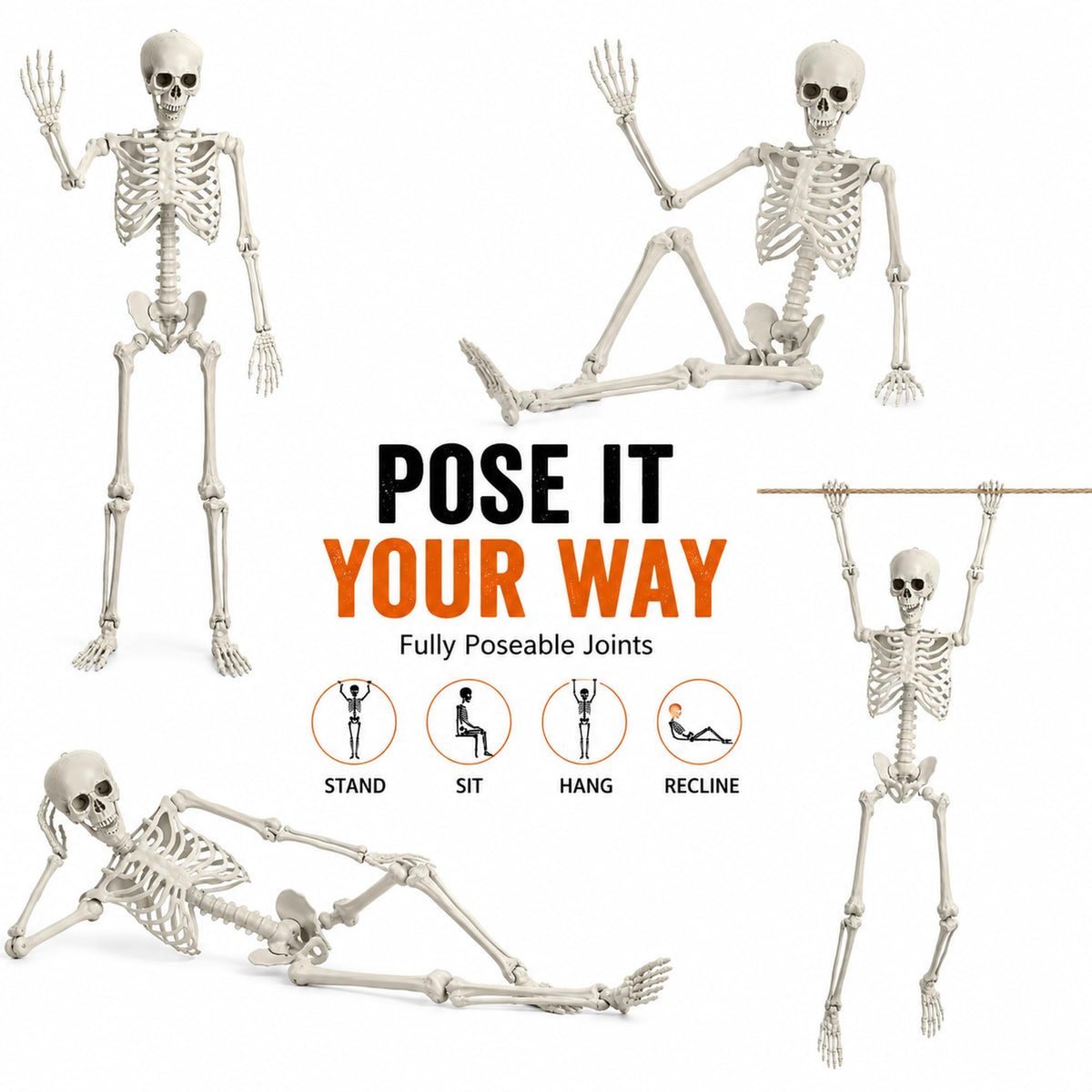Life Size Poseable Skeleton with Movable Joints U309888