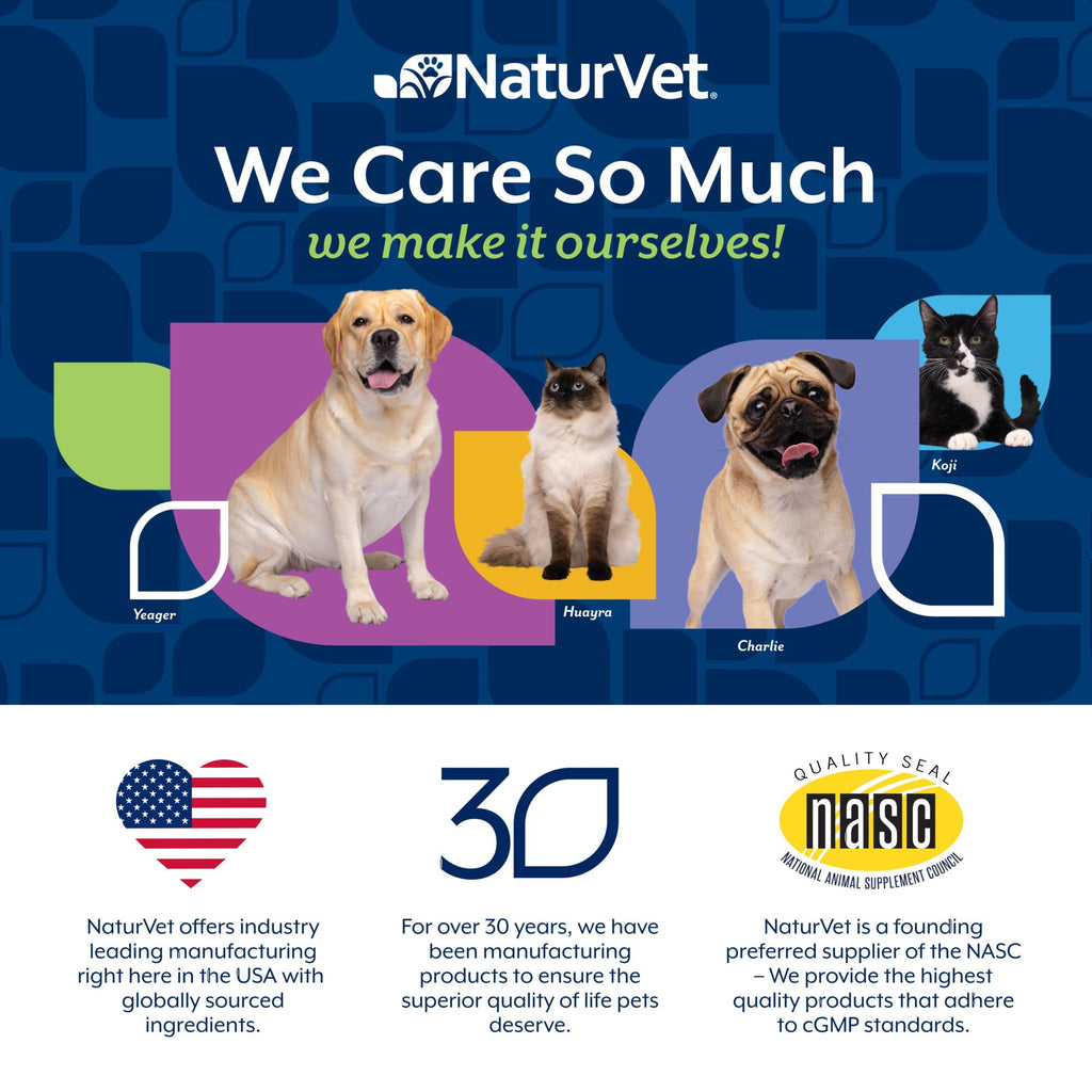 Dog Stool and Bowel Supplement 60 Soft Chews O25875