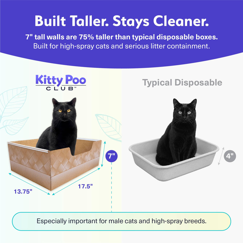 Disposable Cat Litter Box 2-Pack Y48353