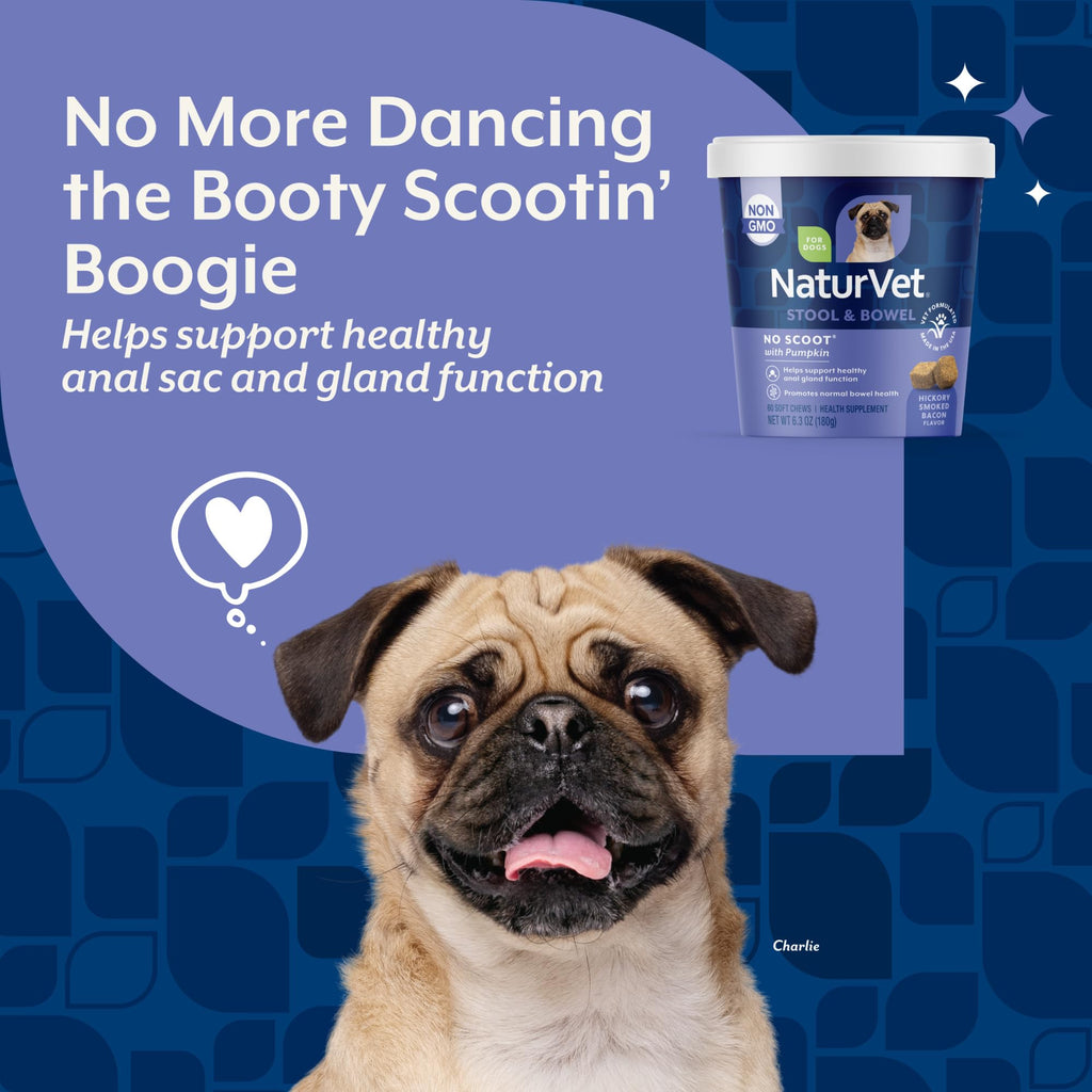 Dog Stool and Bowel Supplement 60 Soft Chews O25875