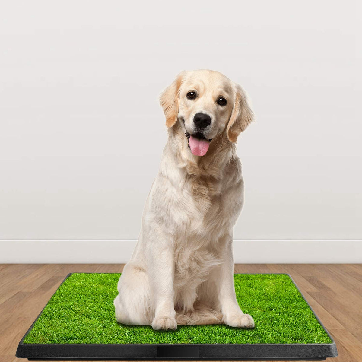 Indoor Dog Toilet Puppy Training Pad G807533