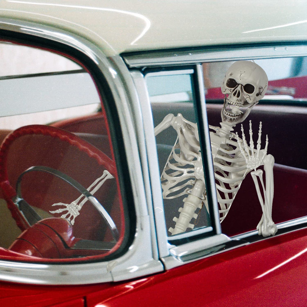 Life Size Skeleton with Posable Joints A2616