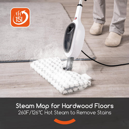 10-in-1 Steam Mop Q9244