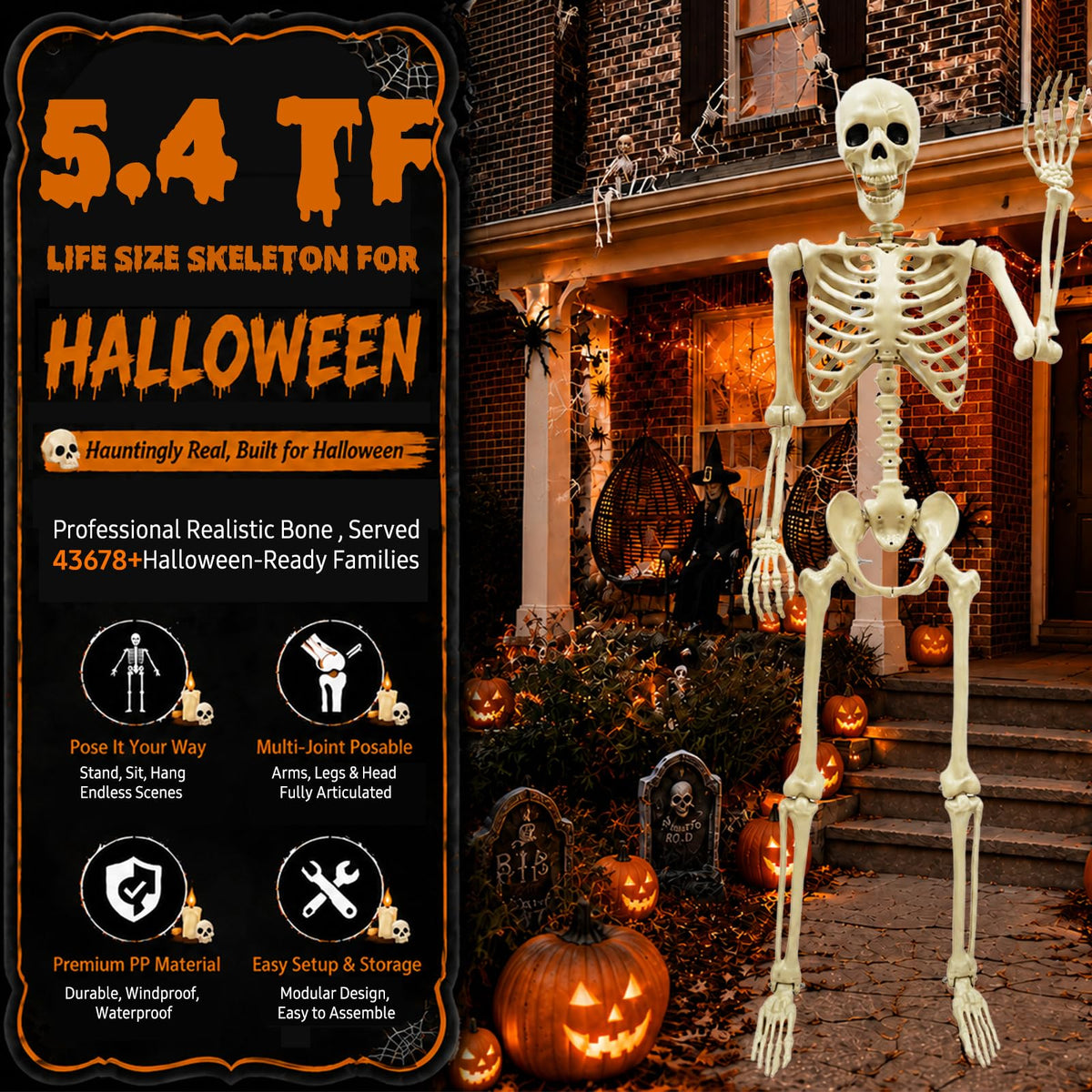 Life Size Skeleton M7516