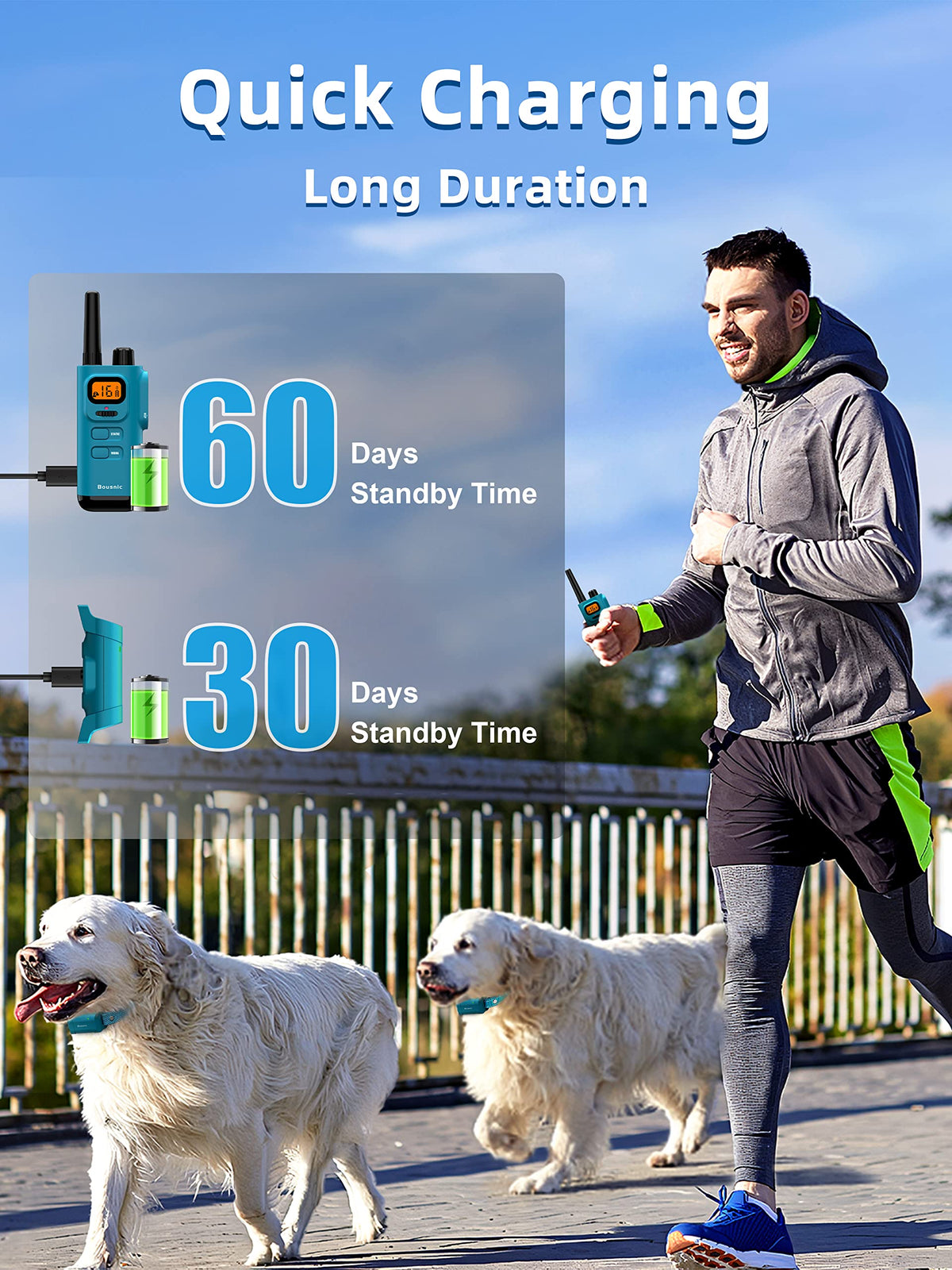 Waterproof Rechargeable Dog Training Collar with Remote H451