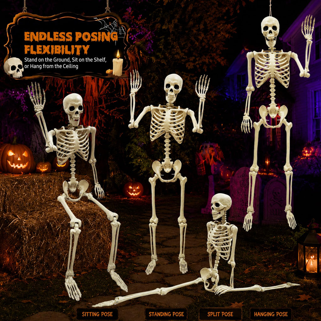 Life Size Skeleton M7516