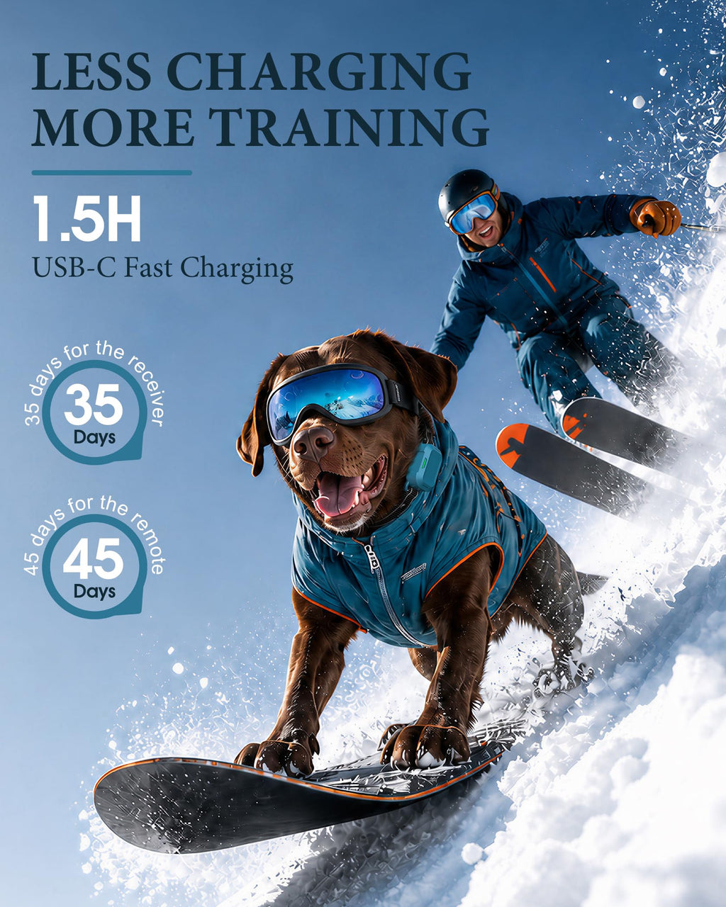 Dog Training Collar with Remote L526170