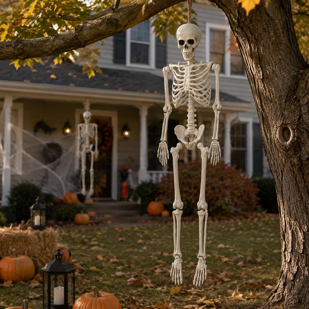 Life Size Poseable Skeleton with Movable Joints U309888