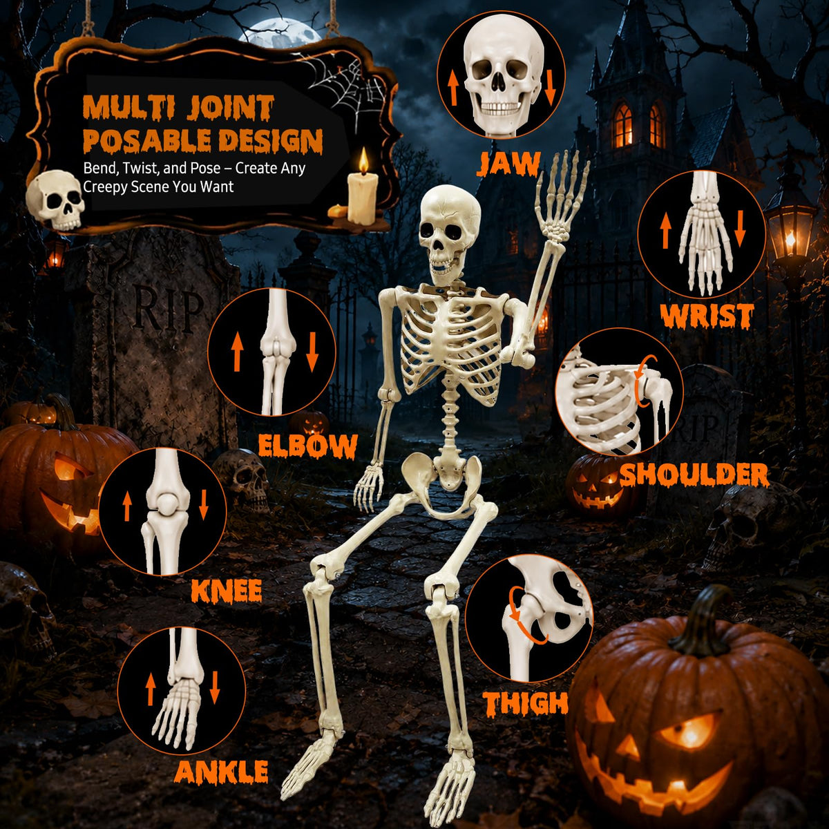 Life Size Skeleton M7516