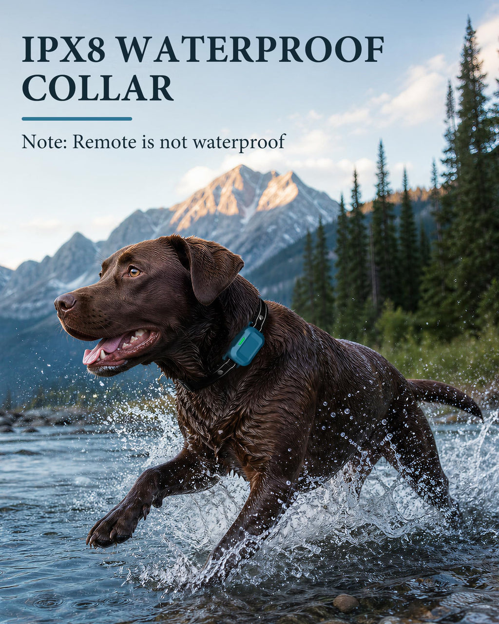 Dog Training Collar with Remote L526170