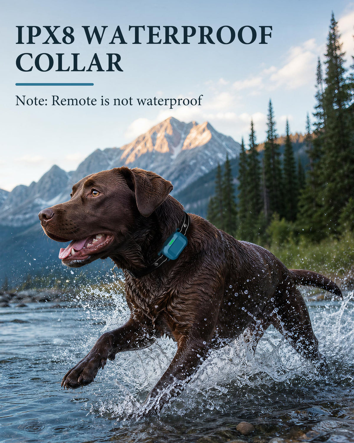 Dog Training Collar with Remote L526170