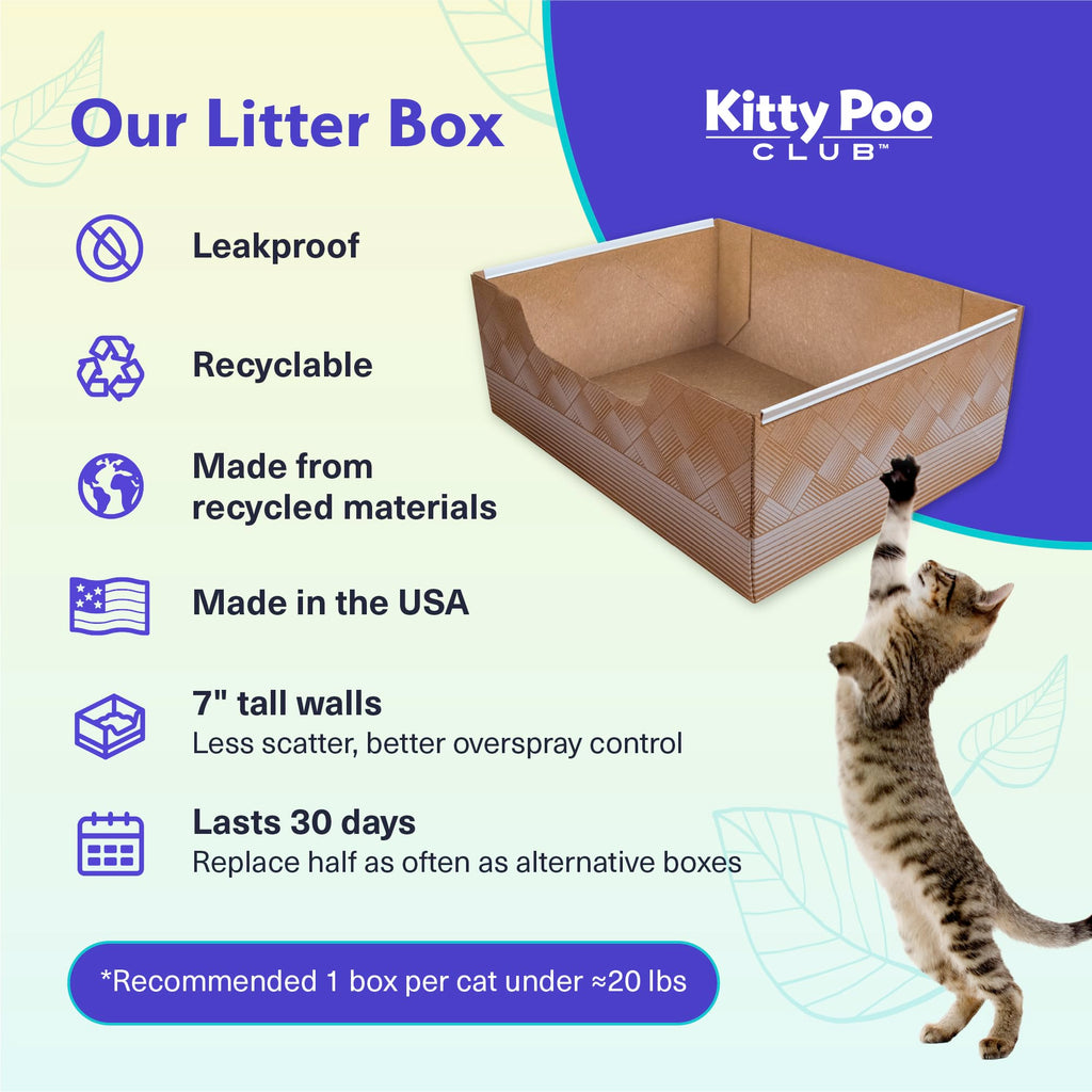 Disposable Cat Litter Box 2-Pack Y48353
