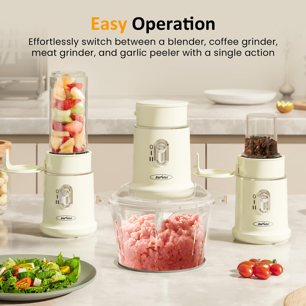 4-in-1 Electric Food Chopper & Small Food Processor F4508