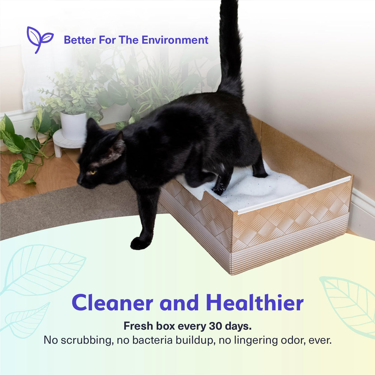 Disposable Cat Litter Box 2-Pack Y48353
