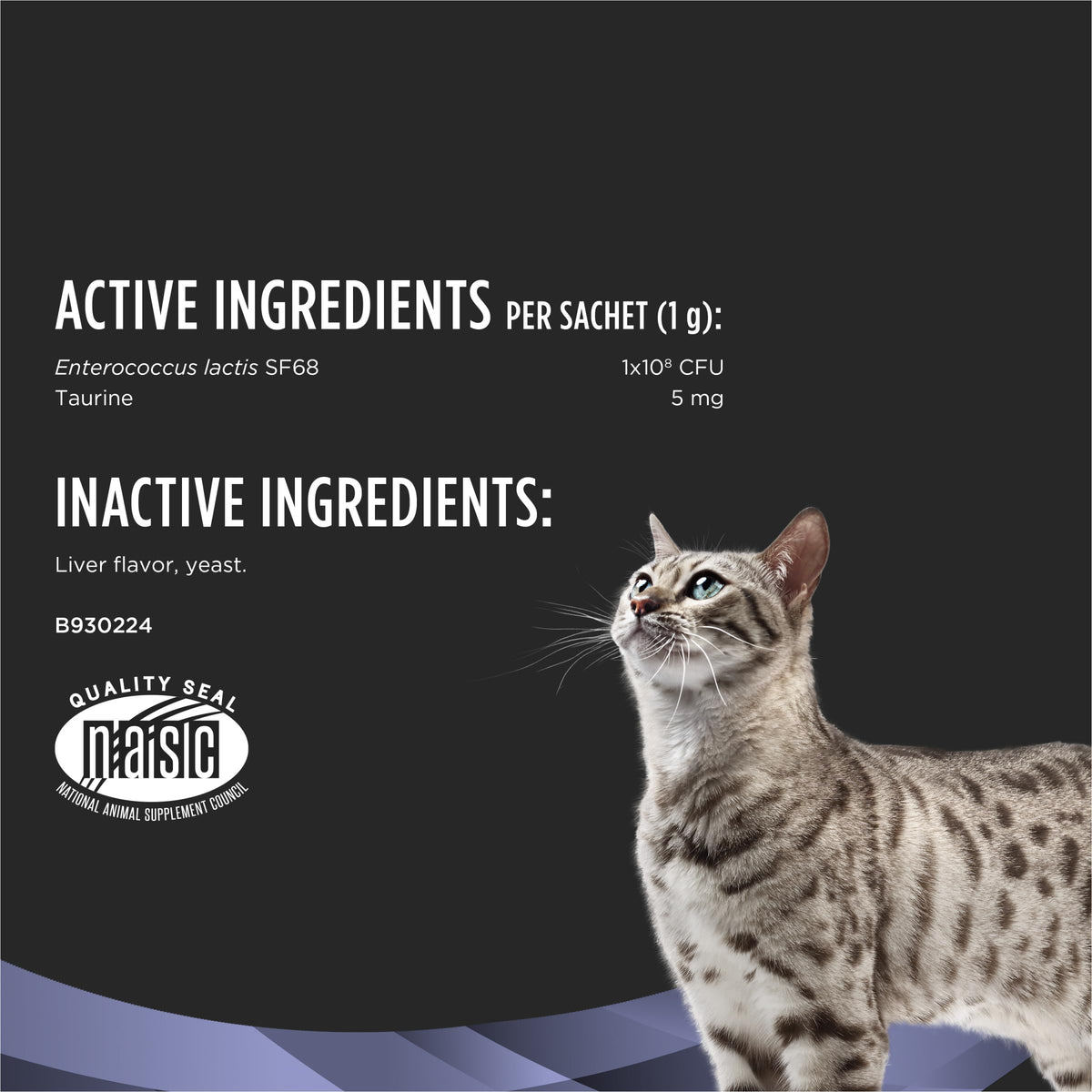 Probiotic Powder Supplement for Cats L26972
