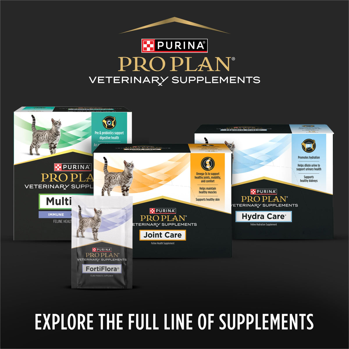 Probiotic Powder Supplement for Cats L26972