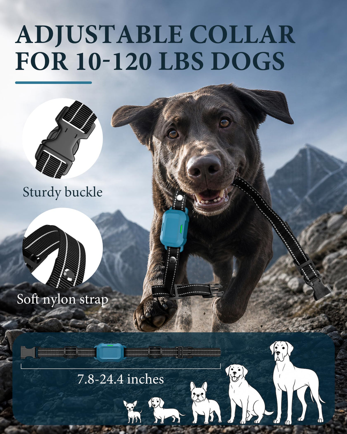 Dog Training Collar with Remote L526170