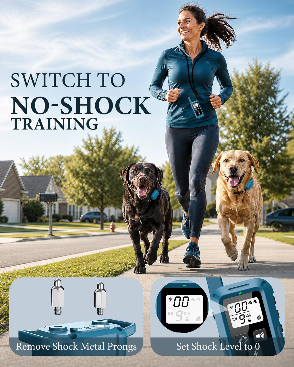 Dog Training Collar with Remote L526170