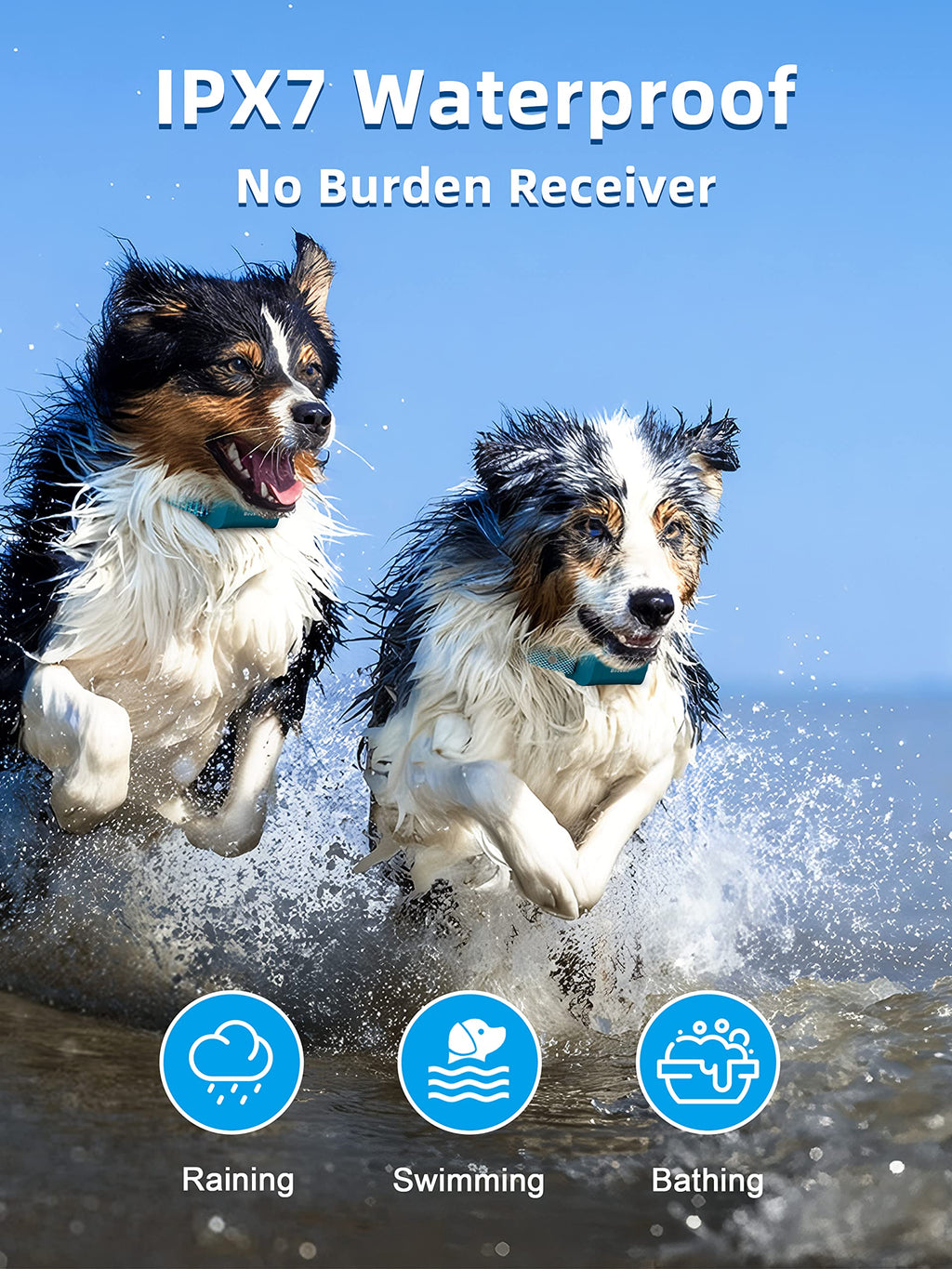 Waterproof Rechargeable Dog Training Collar with Remote H451